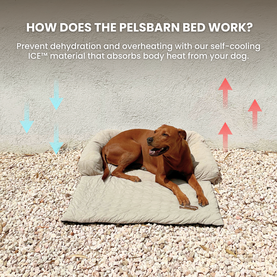 Cooling Dog Bed Heat Relief - Pelsbarn