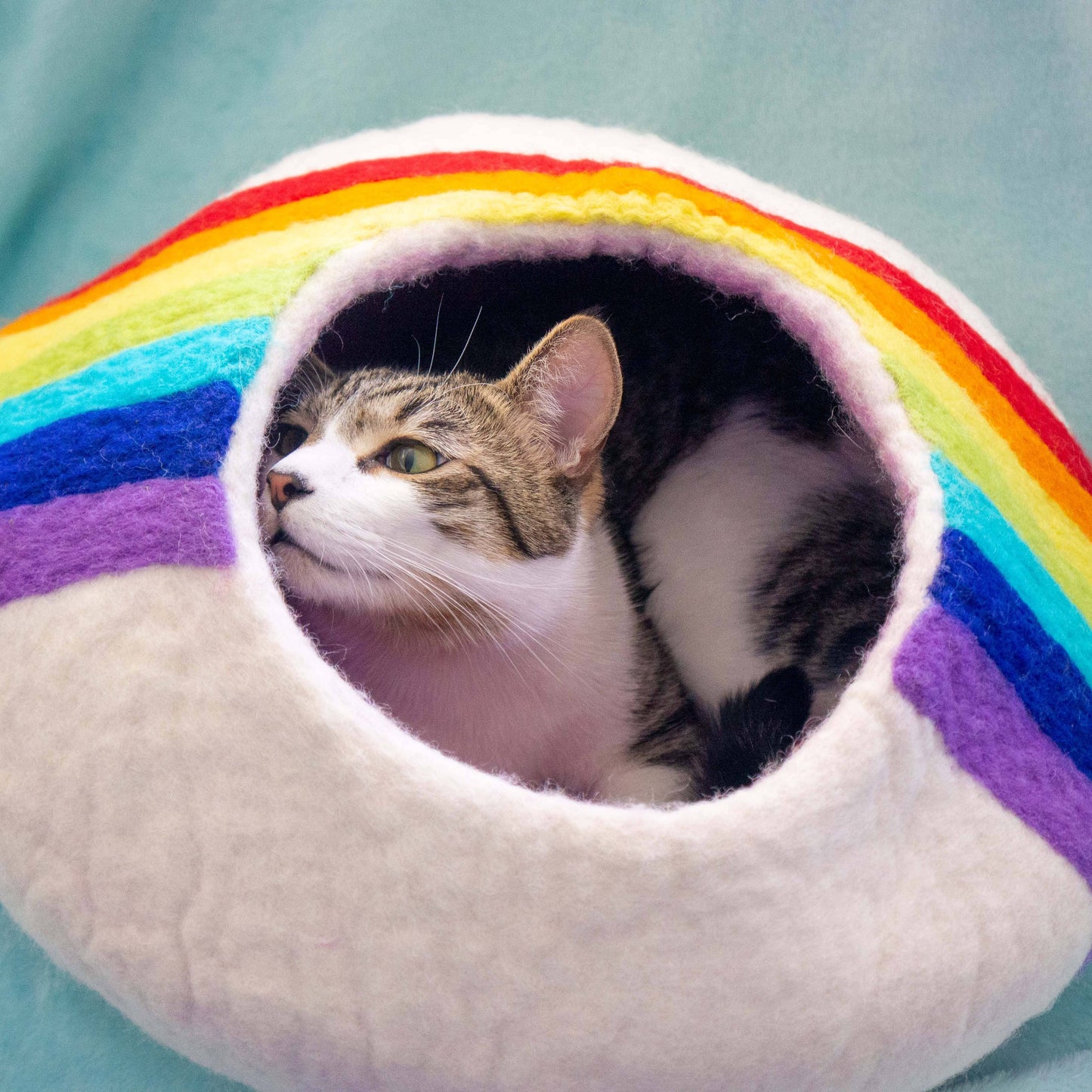 Rainbow Eco Kitty Cave - Cat Cave