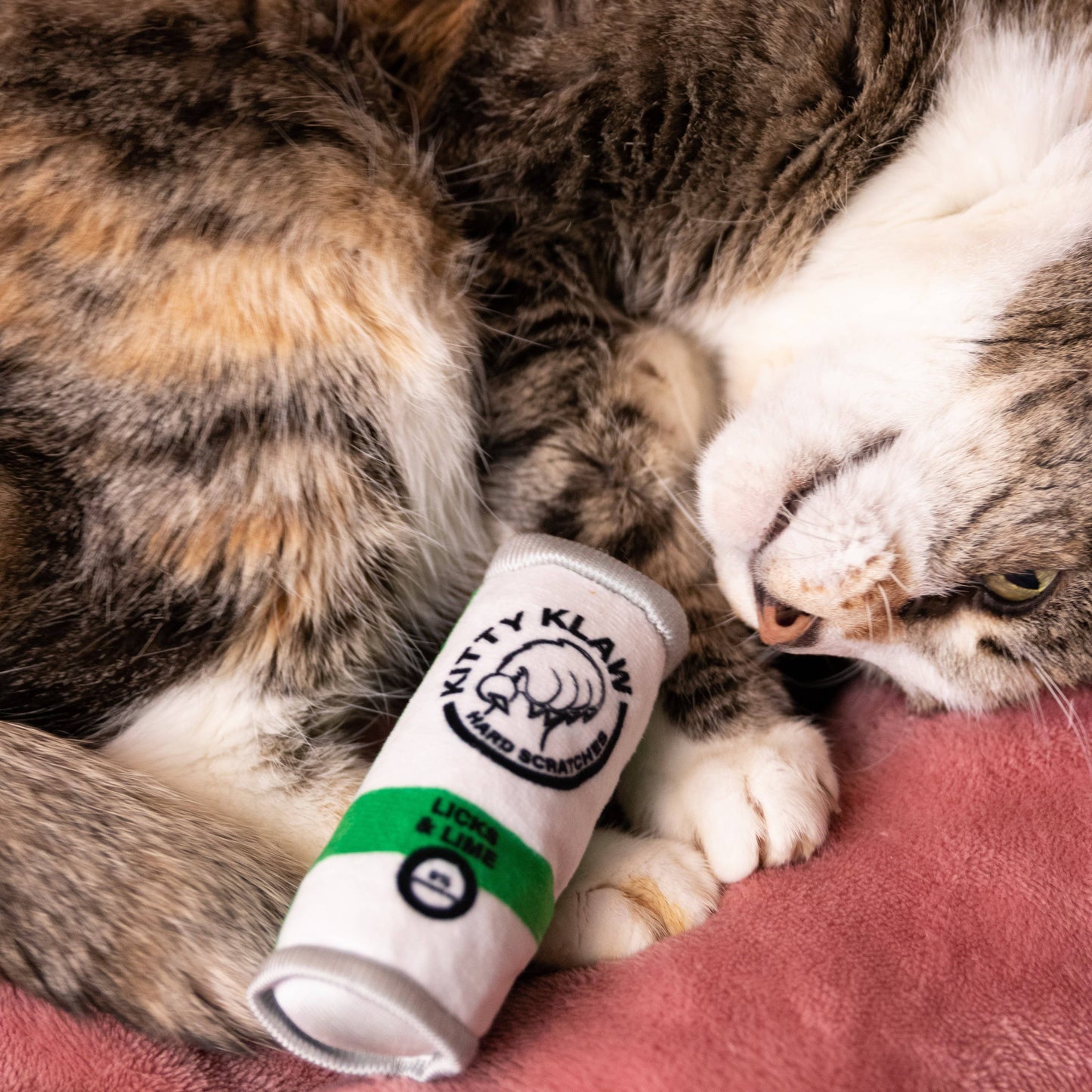 Kitty Klaw Licks & Lime Cat Toy