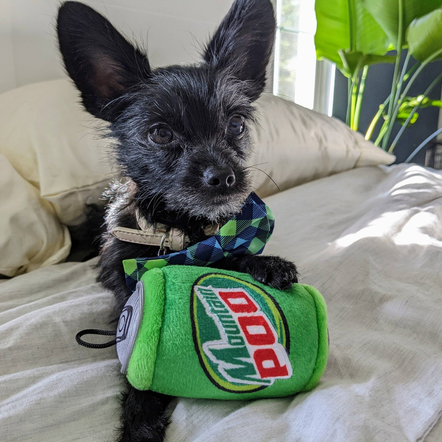 Mountain Poo Dog Toy