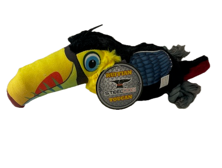 Ruffian Toucan