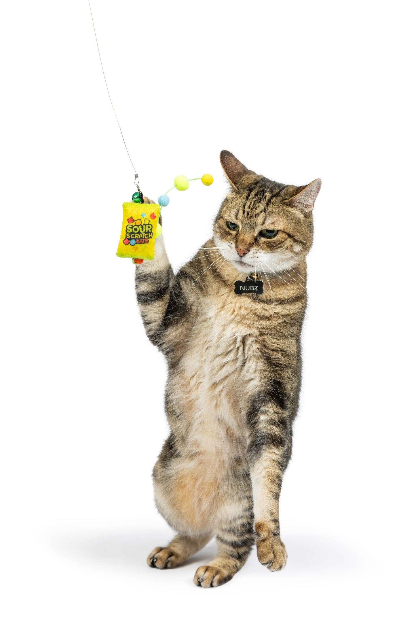 Teaser Sour Scratch Wand Cat Toy