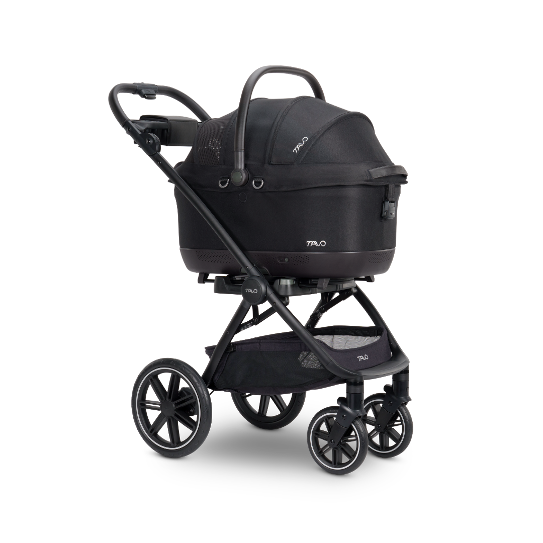 Tavo Maeve™  iso Wind + Roscoe Trek Stroller
