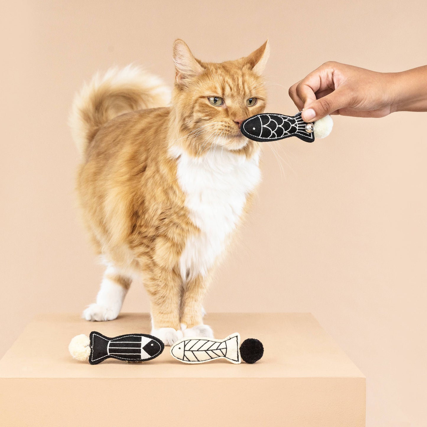 Off the Scales Fish Cat Toy set of 3