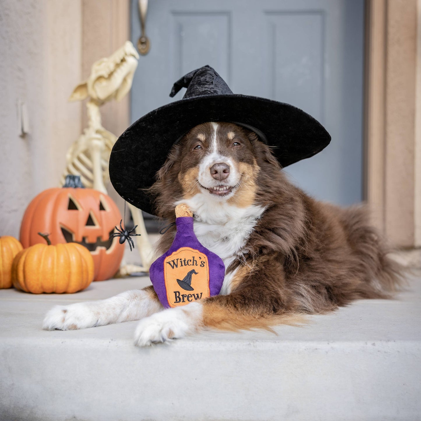 Witch's Brew Dog Toy