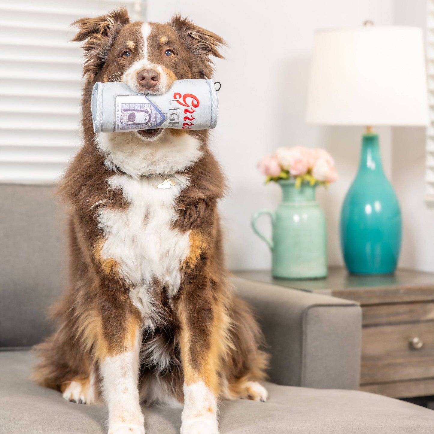 Grrrs Light Dog Toy
