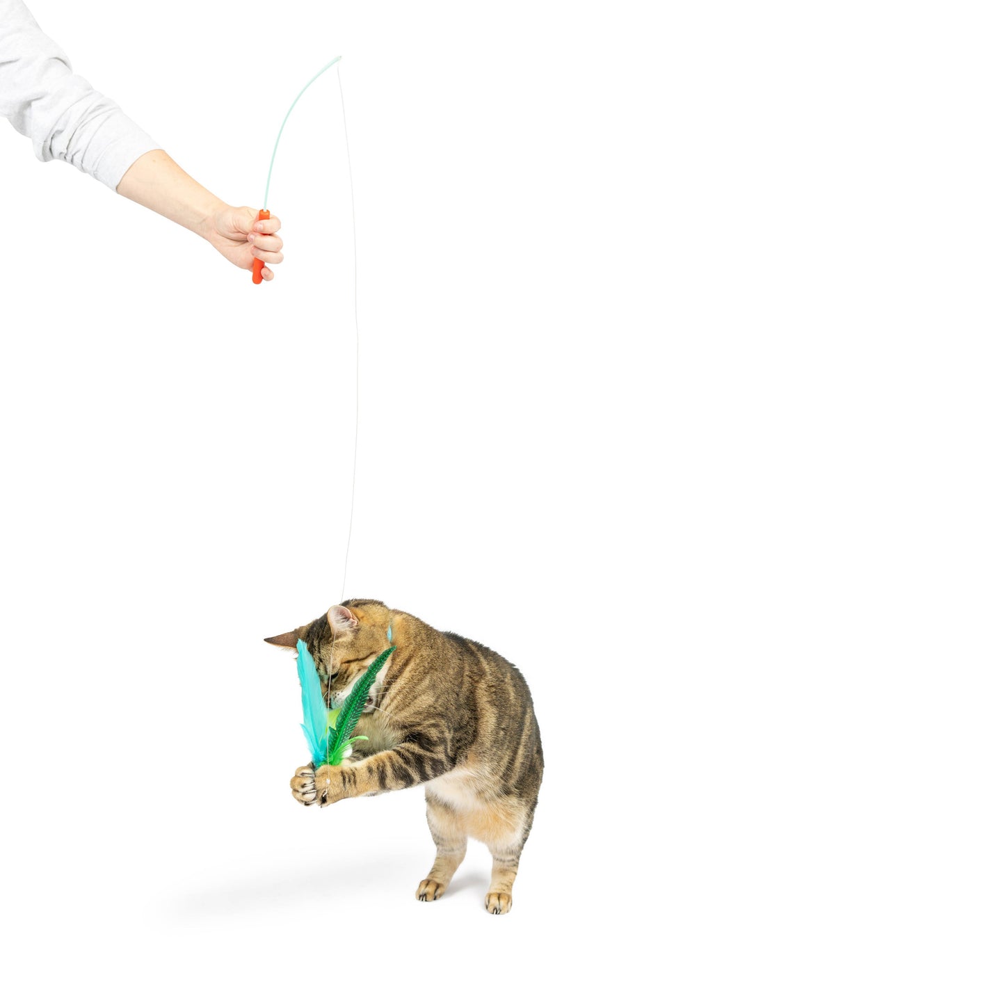 Kitty Klaw Lime Teasers 2pk Cat Wand Refill