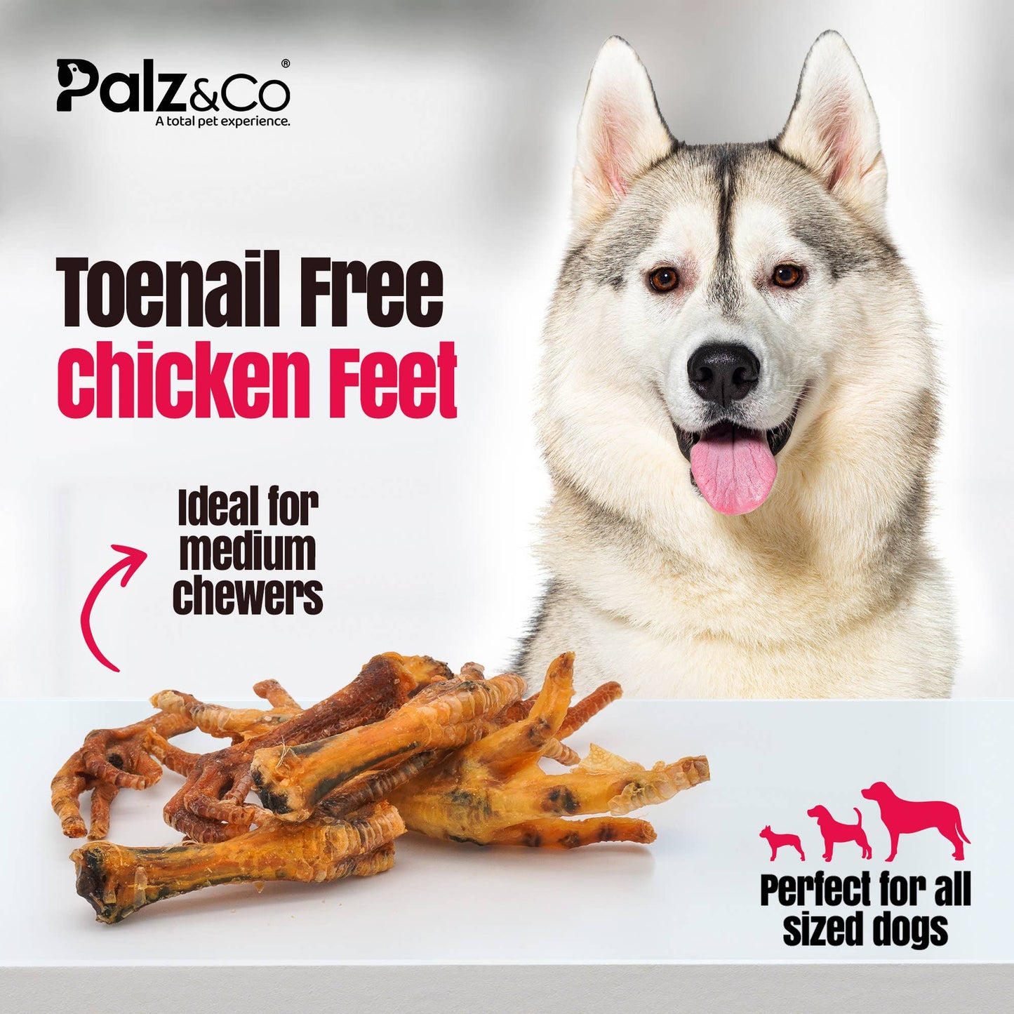 Birddog Chicken Feet Dog Treats
