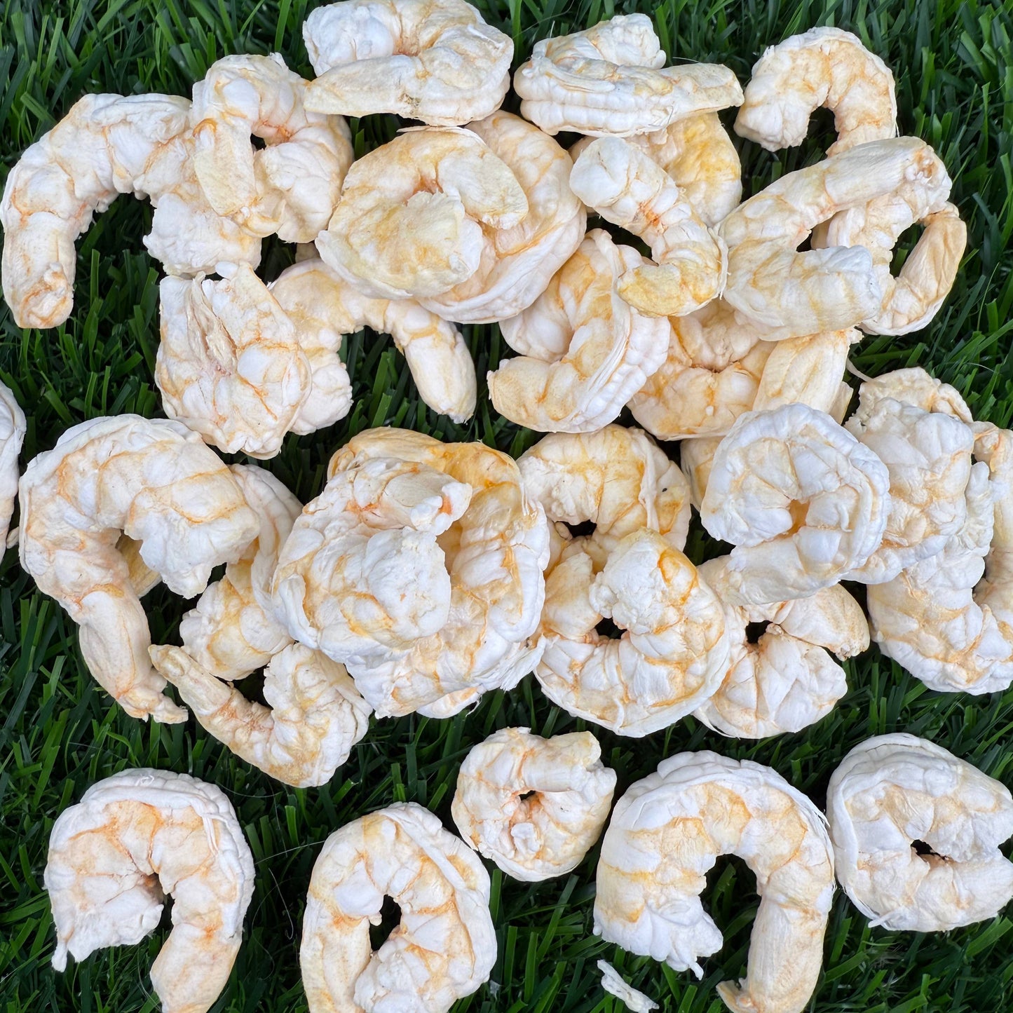 Baby Shrimp - Freeze Dried Treats for Dogs & Cats