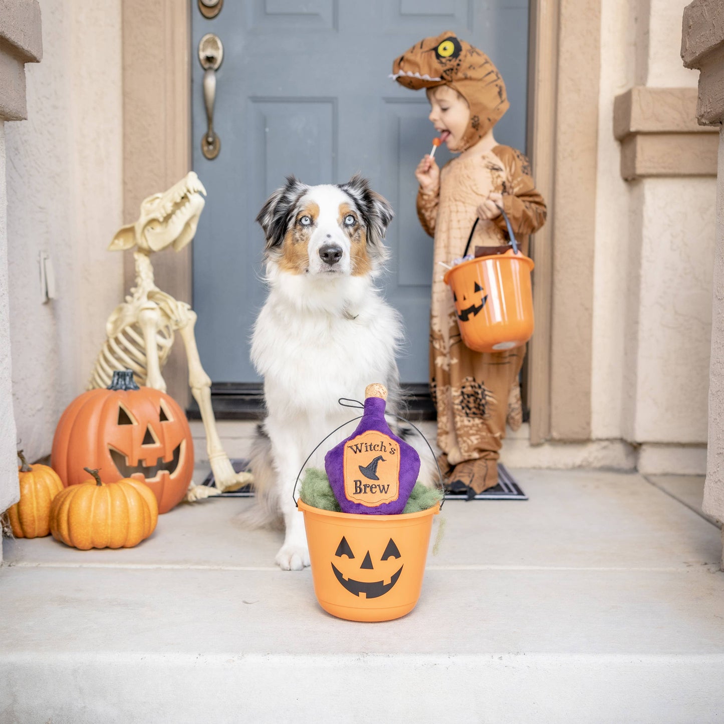 Witch's Brew Dog Toy