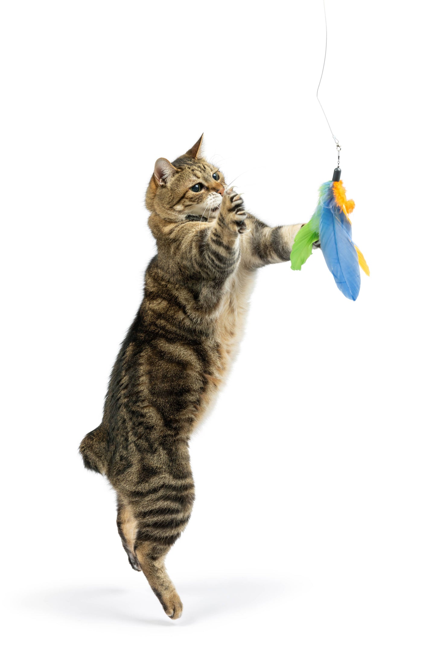 Teaser Sour Scratch Wand Cat Toy