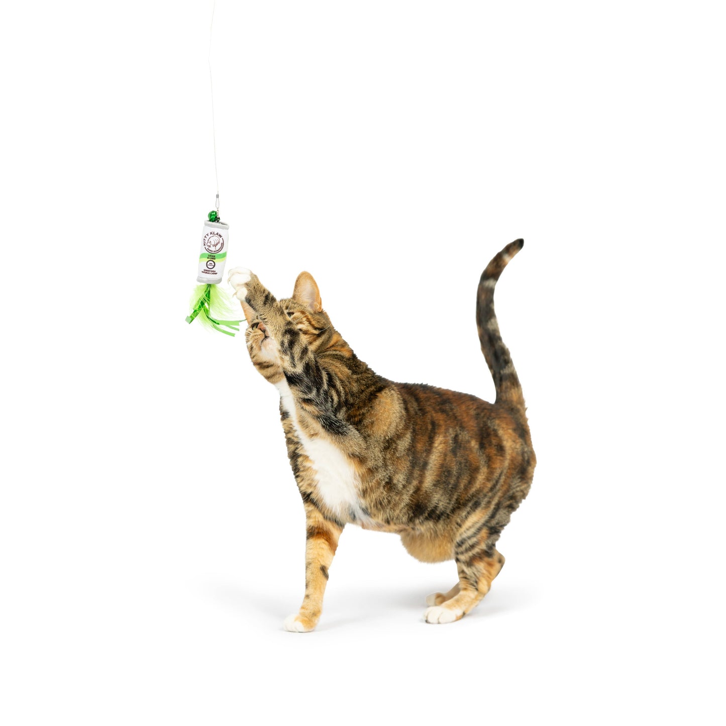 Kitty Klaw Lime Teasers 2pk Cat Wand Refill