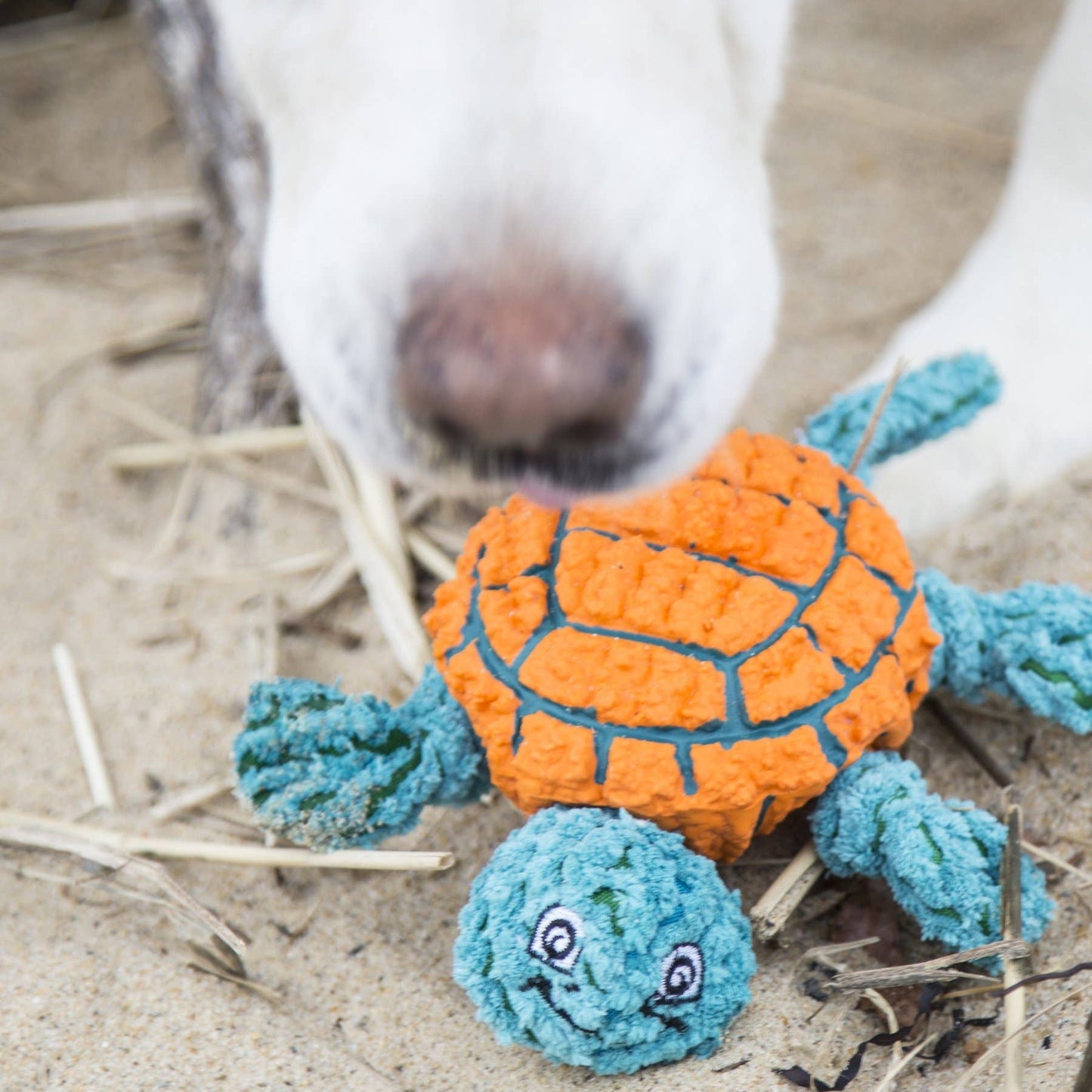 Dude Turtle Huggle-Fusion­® Dog Toy