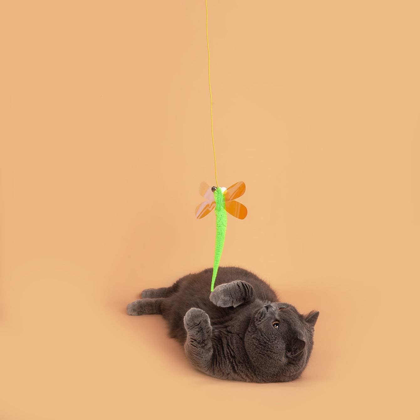 Moo - Hanging Dragonfly Cat Toy 3pcs