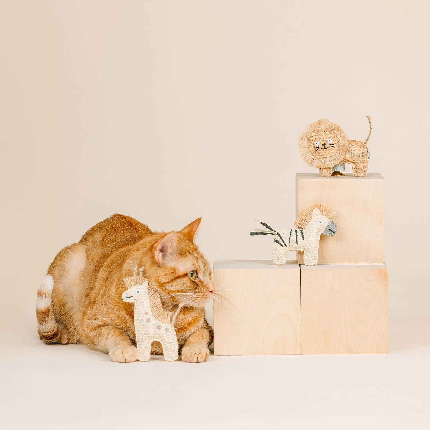 Having a Wild Time Cat Toy set of 3