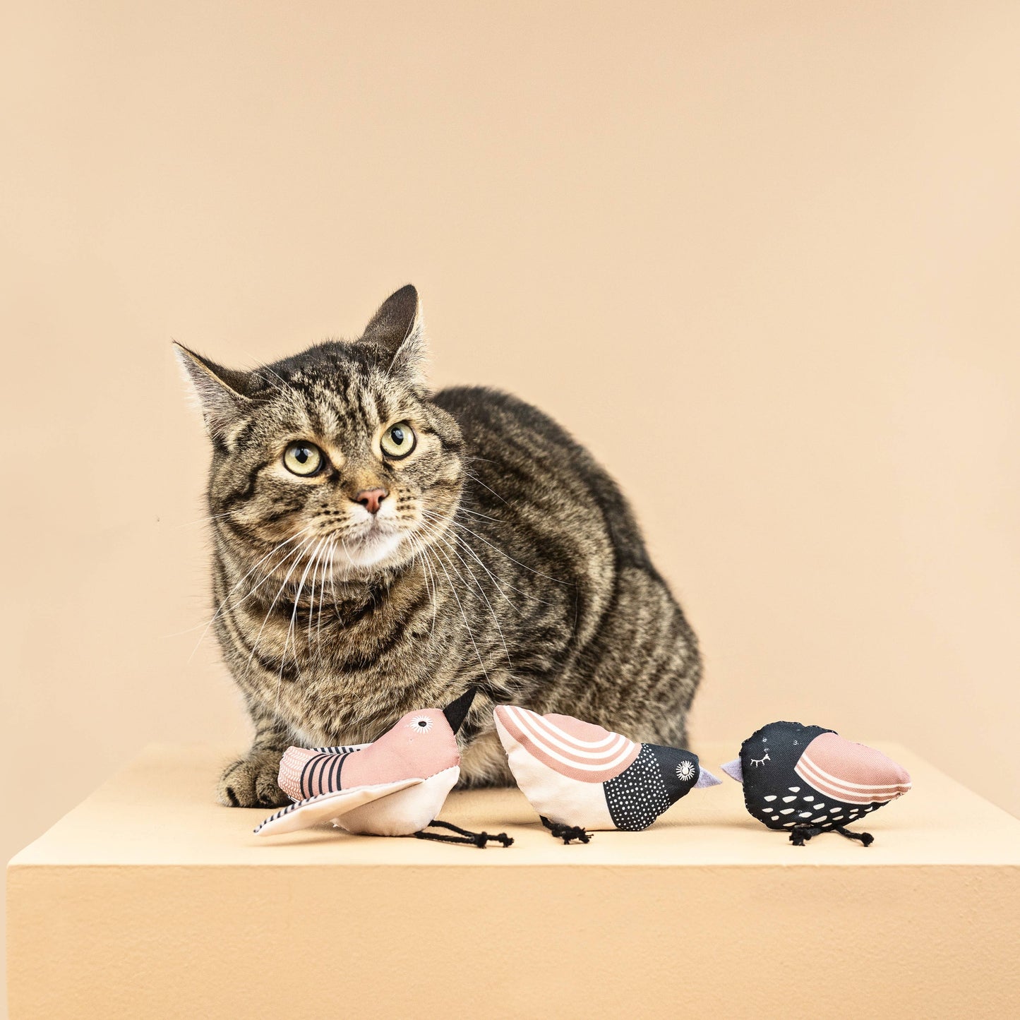 Under My Wings Cat Toy Bird set of 3