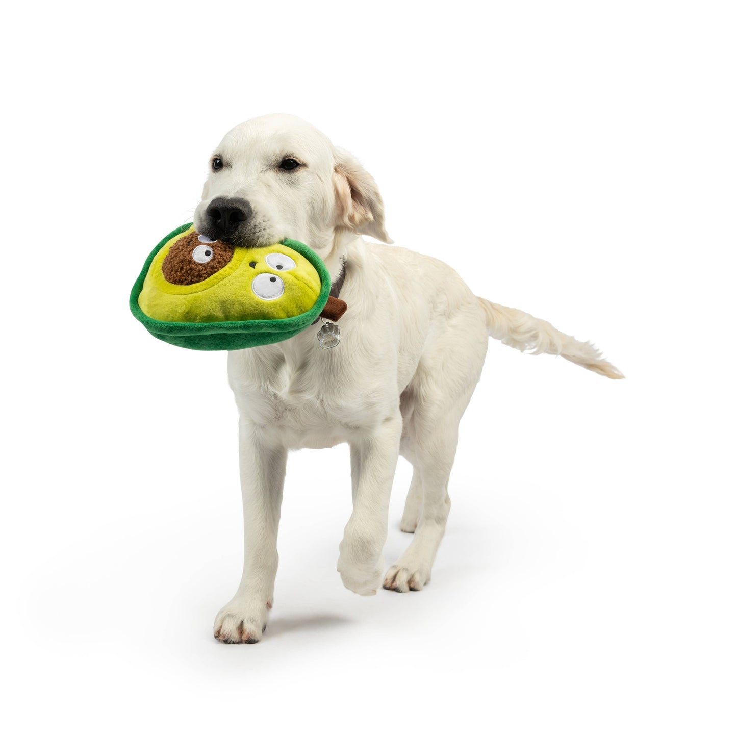 Pop 'n Fetch Avocado Dog Toy