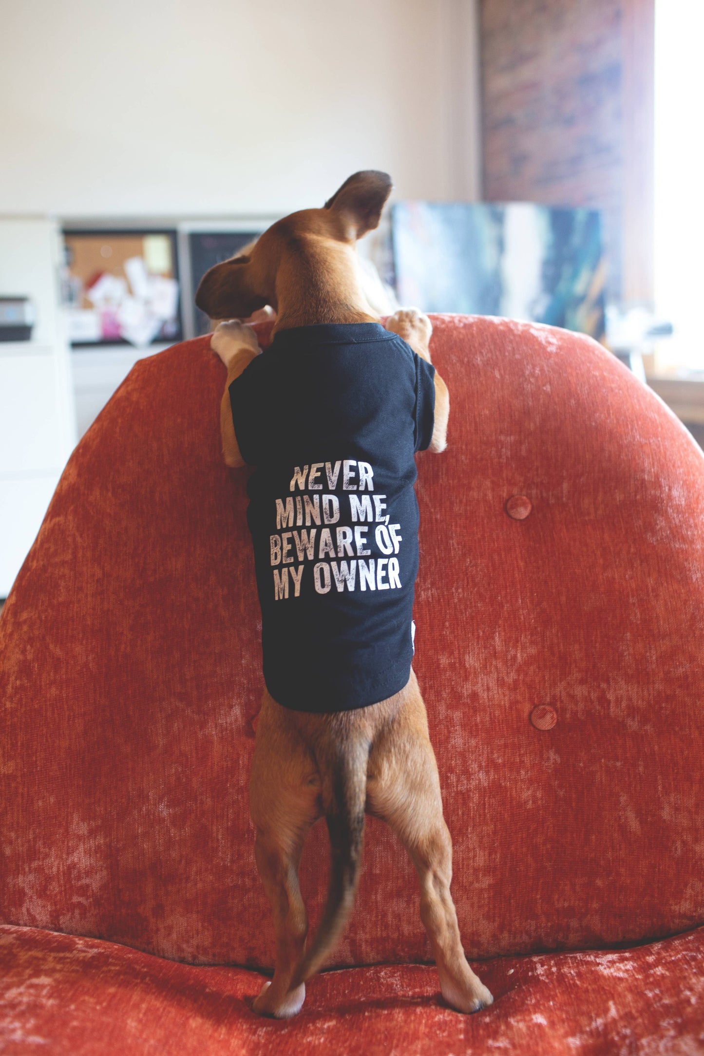 Beware of My Owner Pet Tee