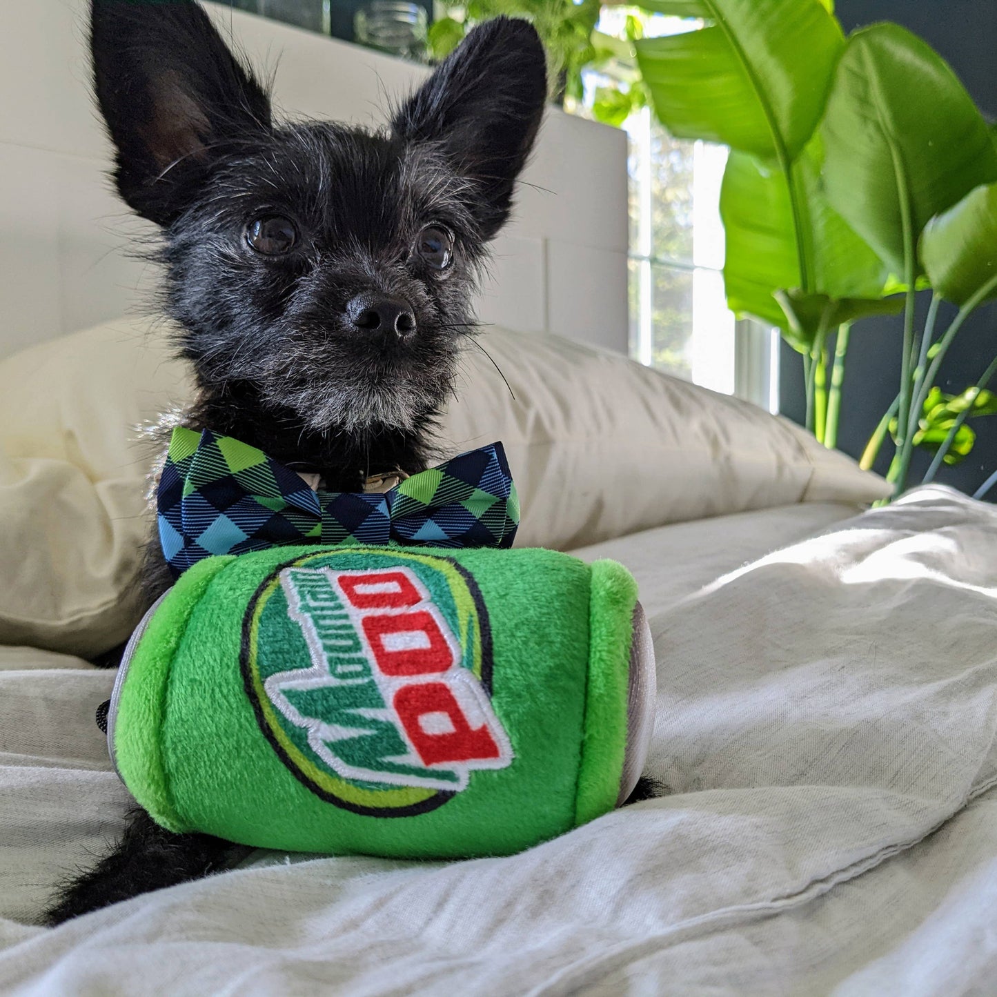 Mountain Poo Dog Toy