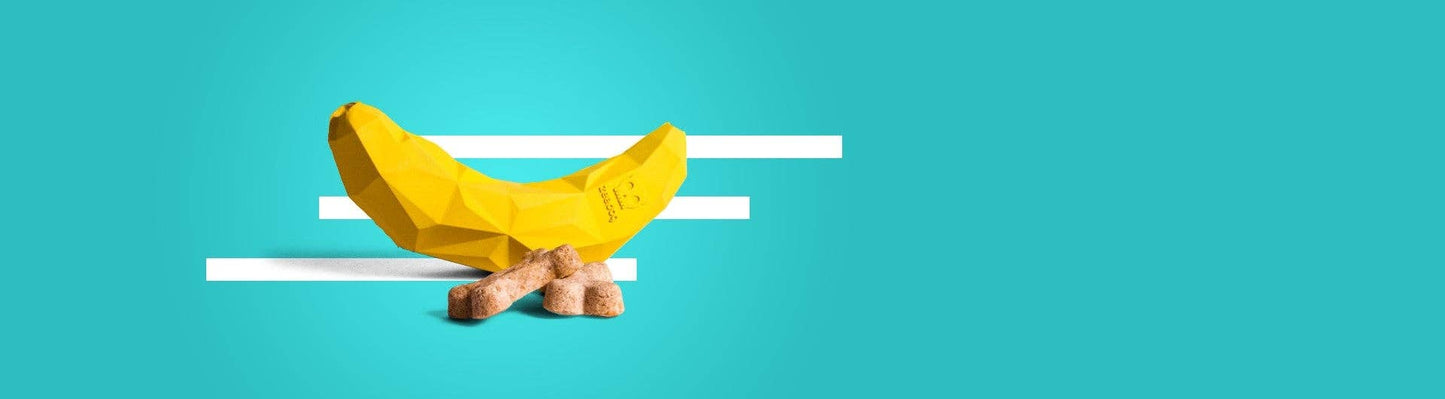 Super Banana | Dog Toy