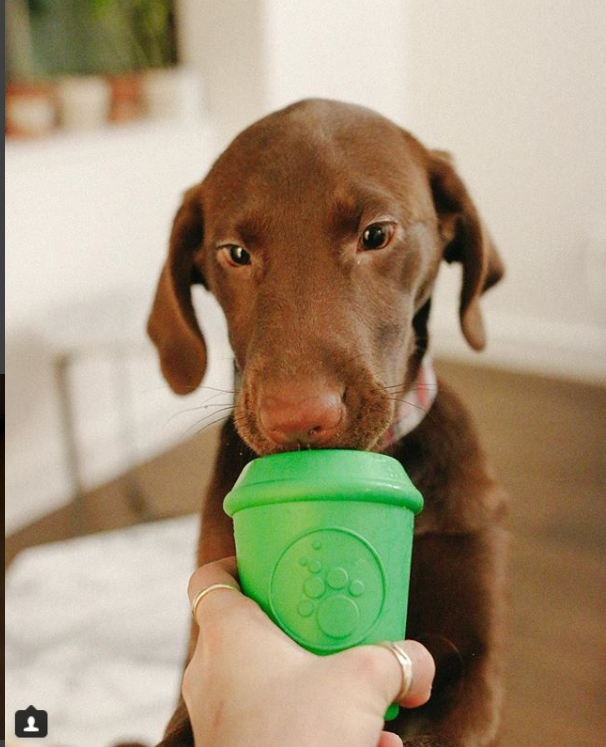 SP Coffee Cup Durable Rubber Chew Toy and Treat Dispenser