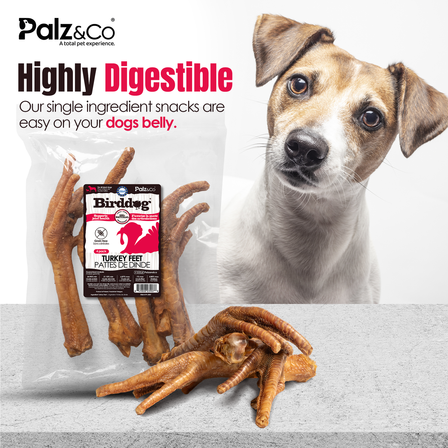Birddog Turkey Feet - Pack of 4