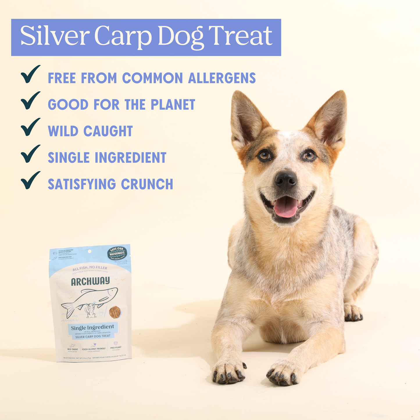 Single Ingredient Wild-Caught Fish Chip For Dogs