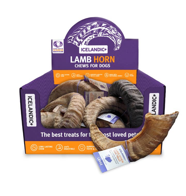 Icelandic+ Large Lamb Horn Dog Treat