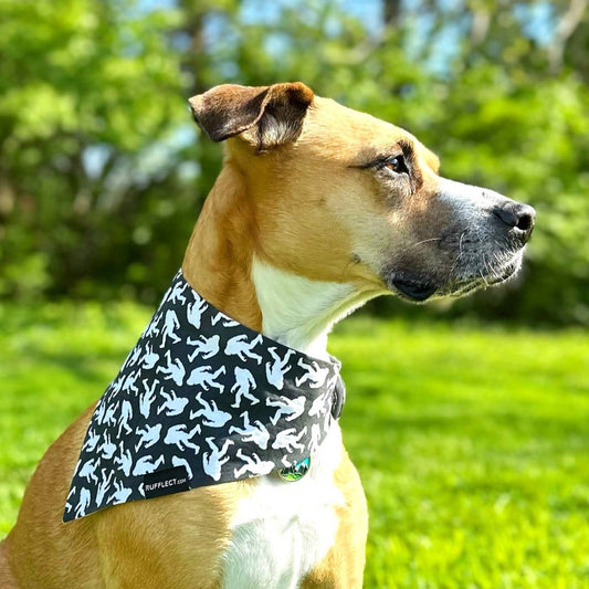 Sasquatch RUFFLECT® Dog Bandana