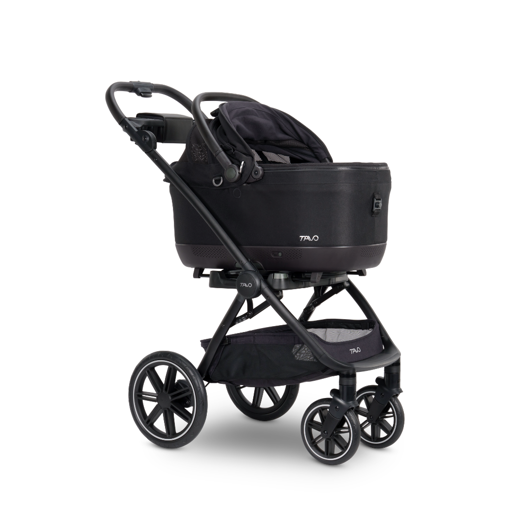 Tavo Maeve™  iso Wind + Roscoe Trek Stroller