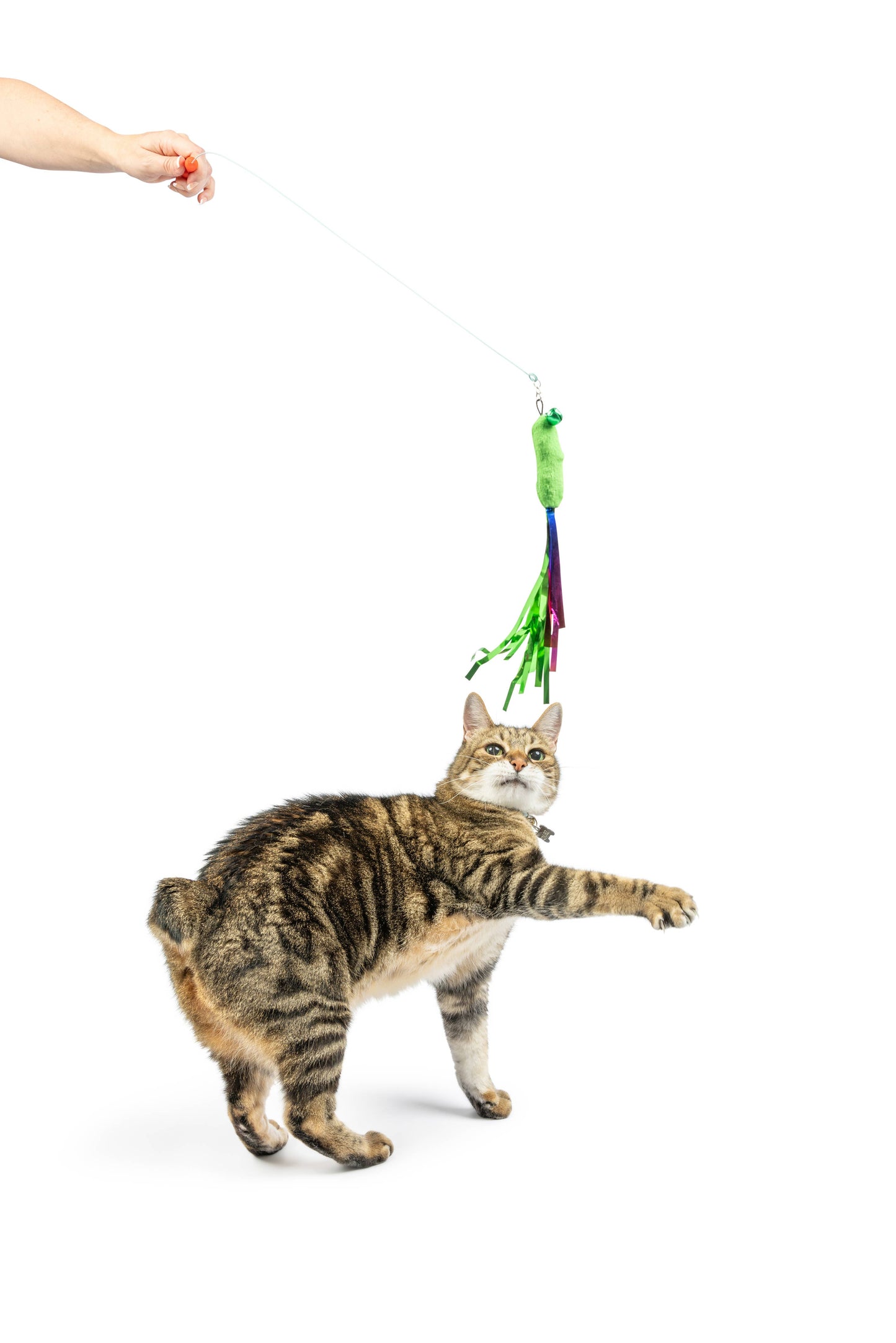 Snacky Teasers 3pk Refill Cat Toy