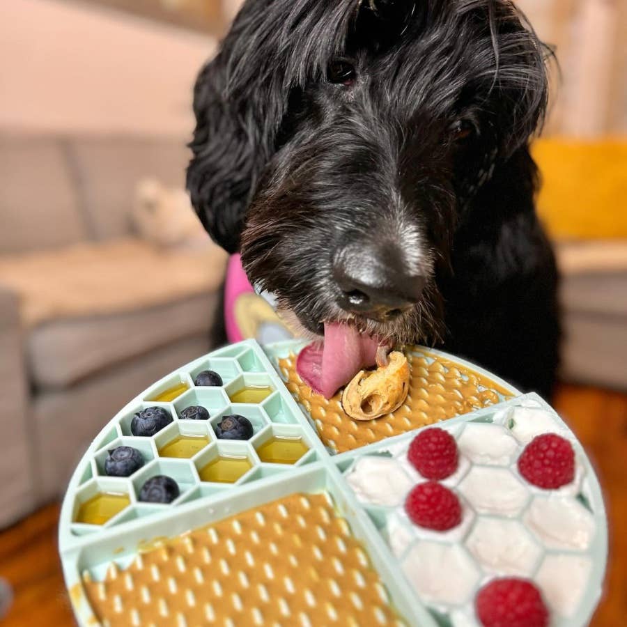 Buddy Budder - Beef Broth Dog Peanut Butter - 4 oz squeeze pouch