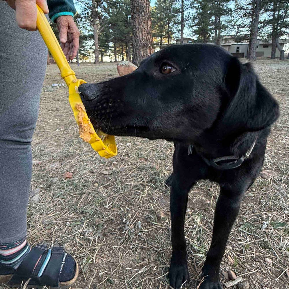 Lick Stick Hand-Held Interactive Enrichment Toys
