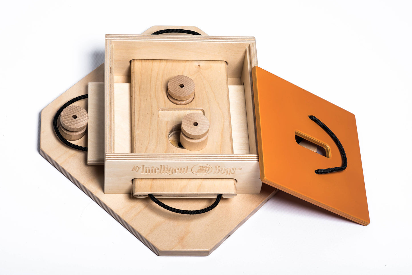 Trouble - intelligent game for dogs