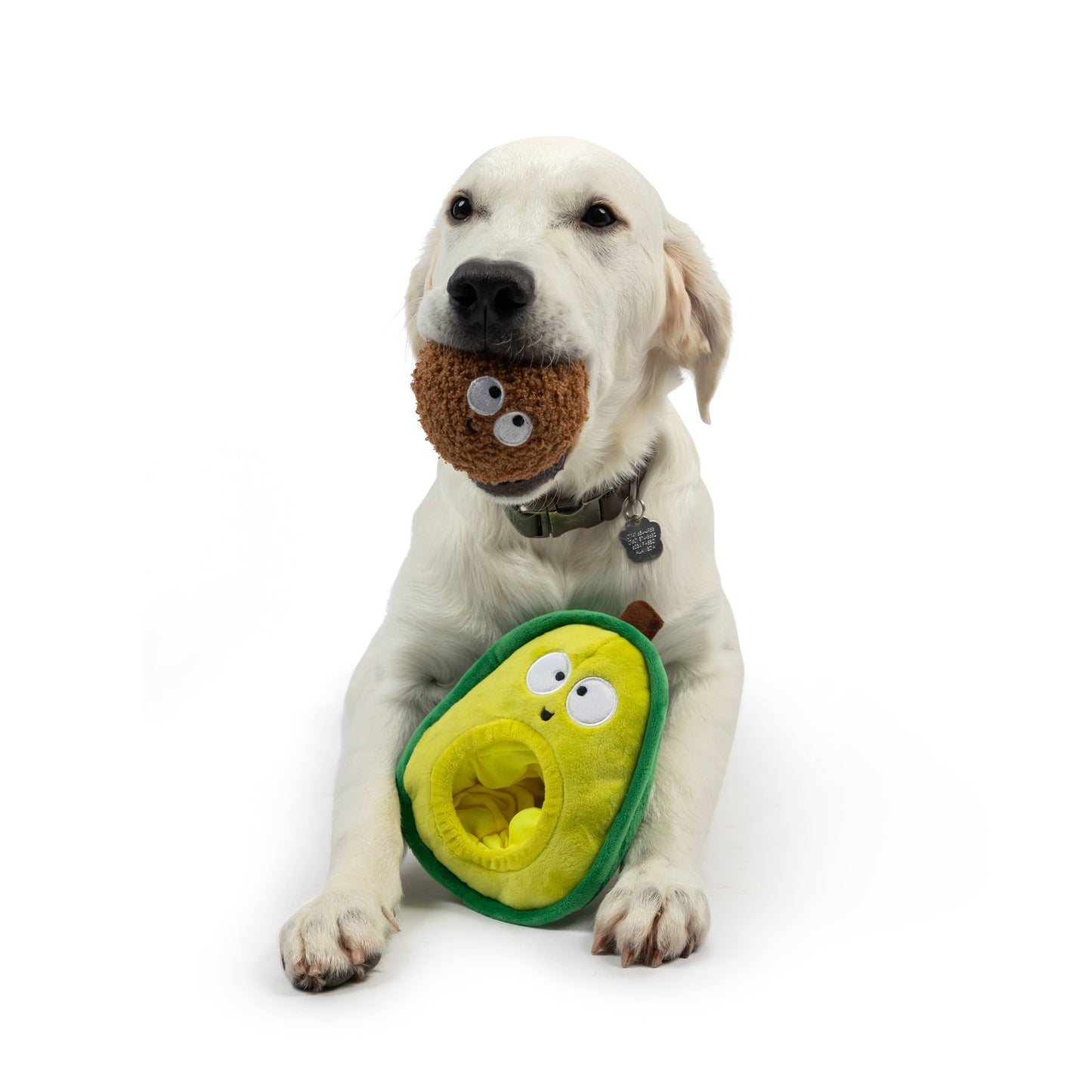 Pop 'n Fetch Avocado Dog Toy