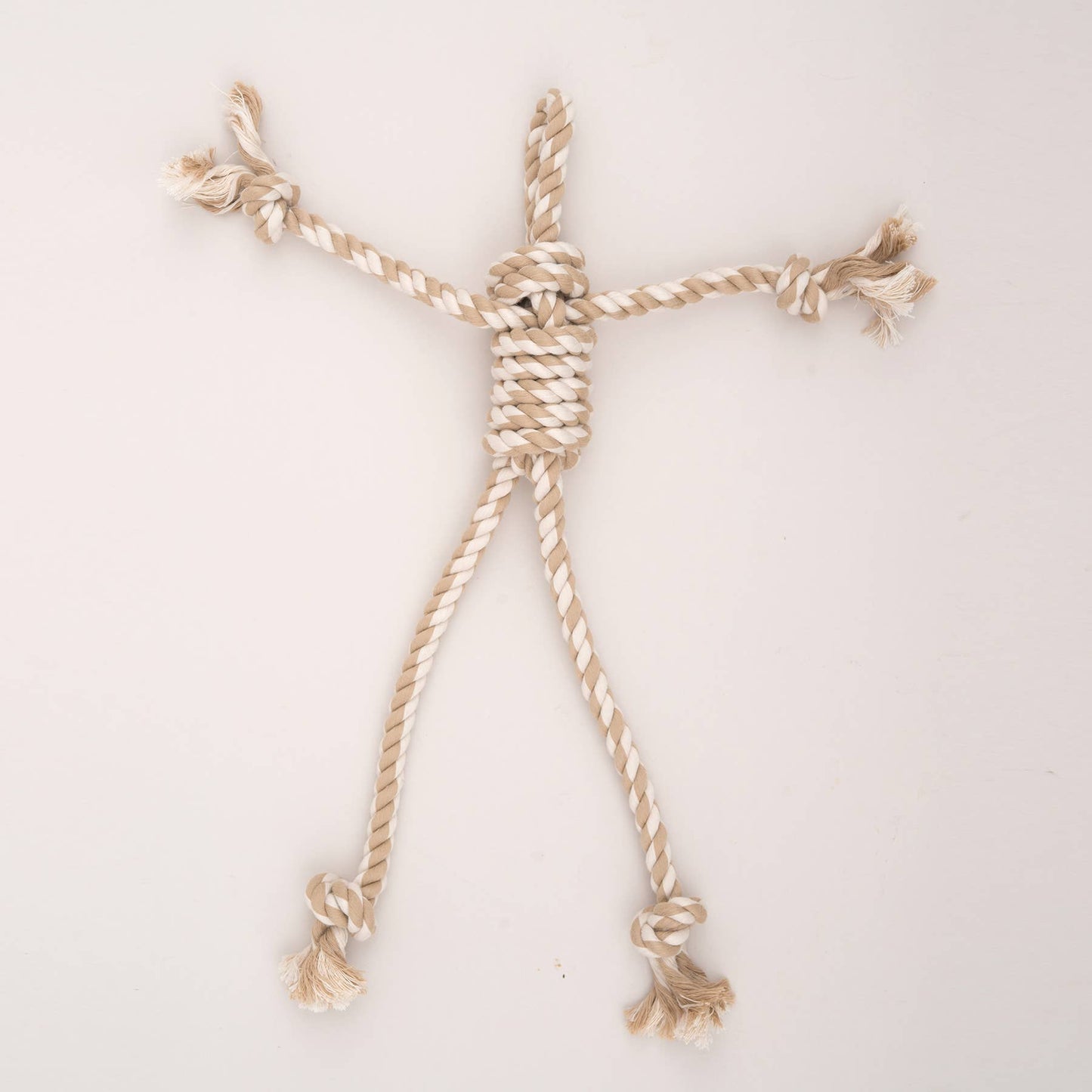 Birch Bunny X-Brace™ Durable Plush Dog Toy