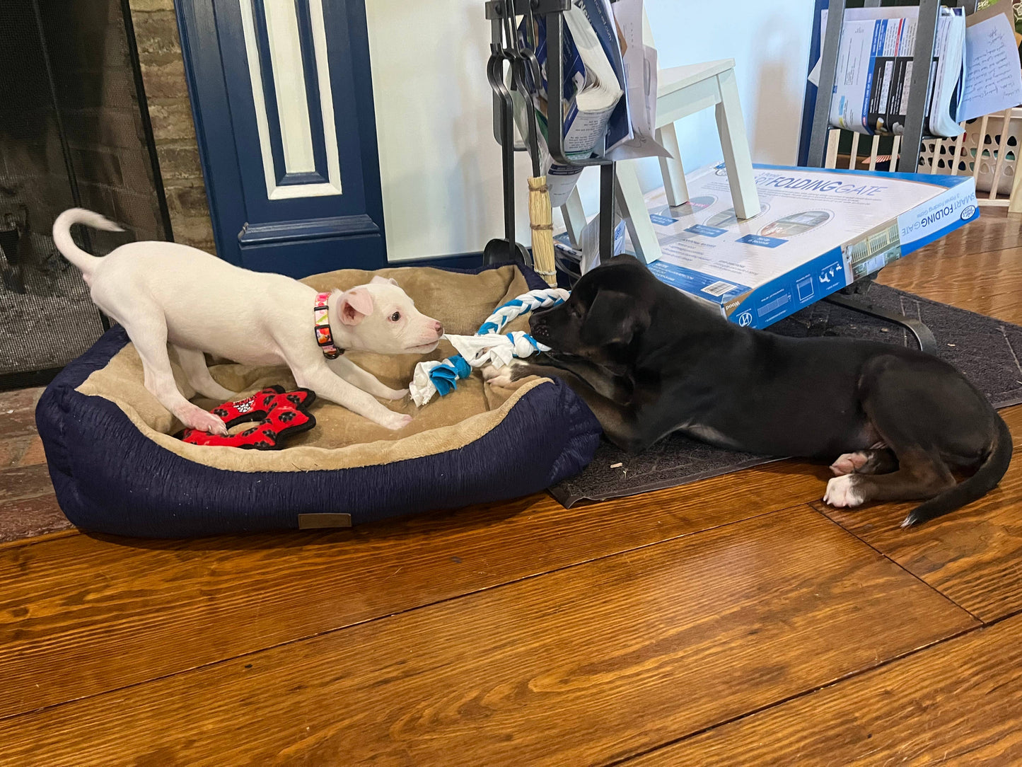 Upcycled Dog Tug Toys