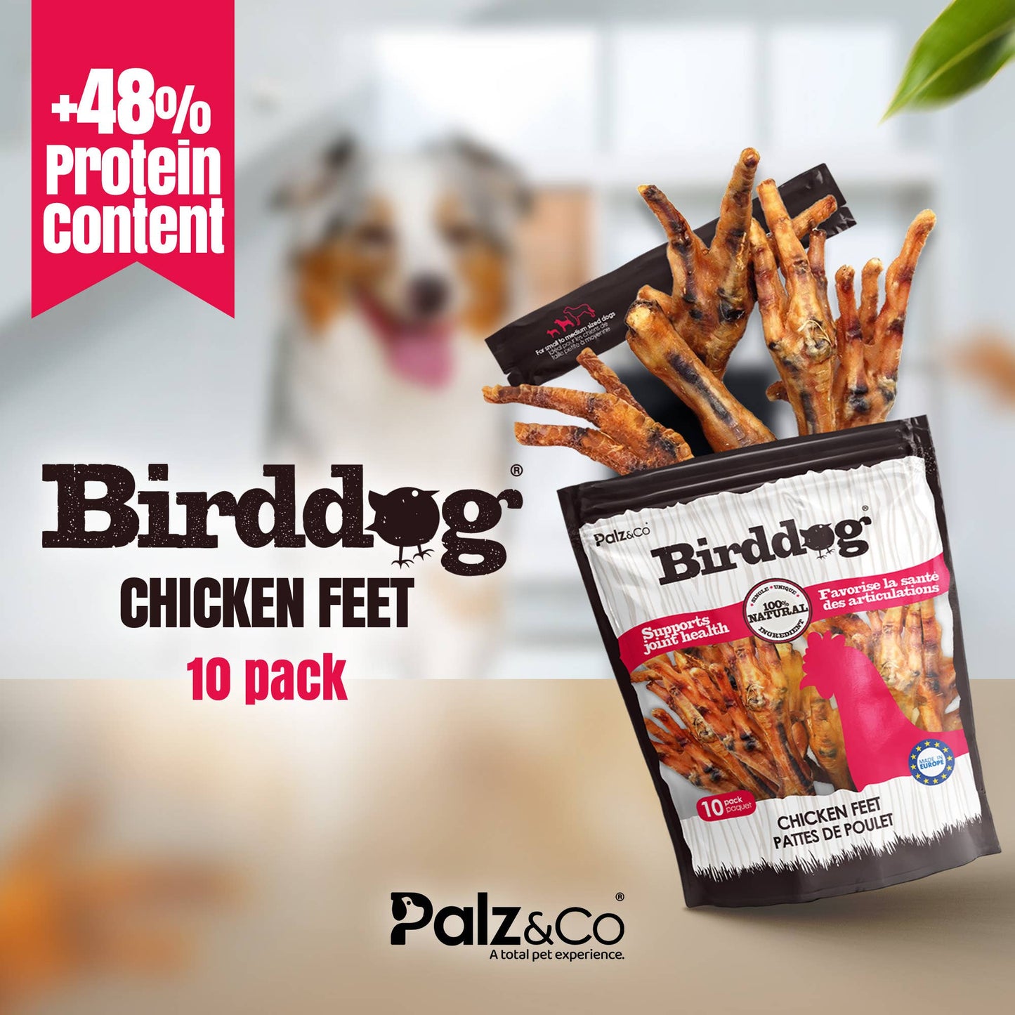 Birddog Chicken Feet Dog Treats