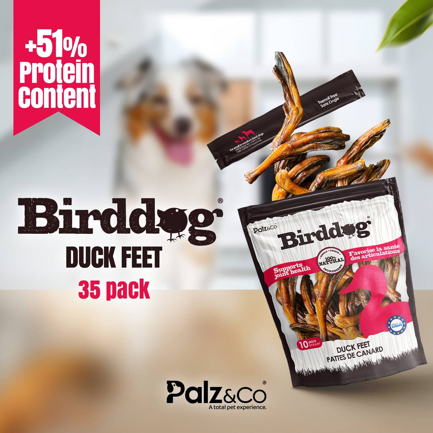 Birddog Duck Feet (no nails)