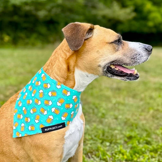 Beer RUFFLECT® Dog Bandana