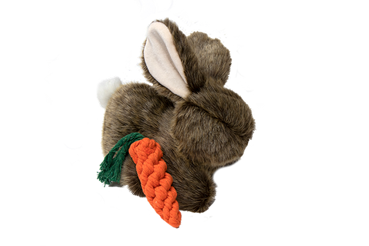Bunny & Carrot