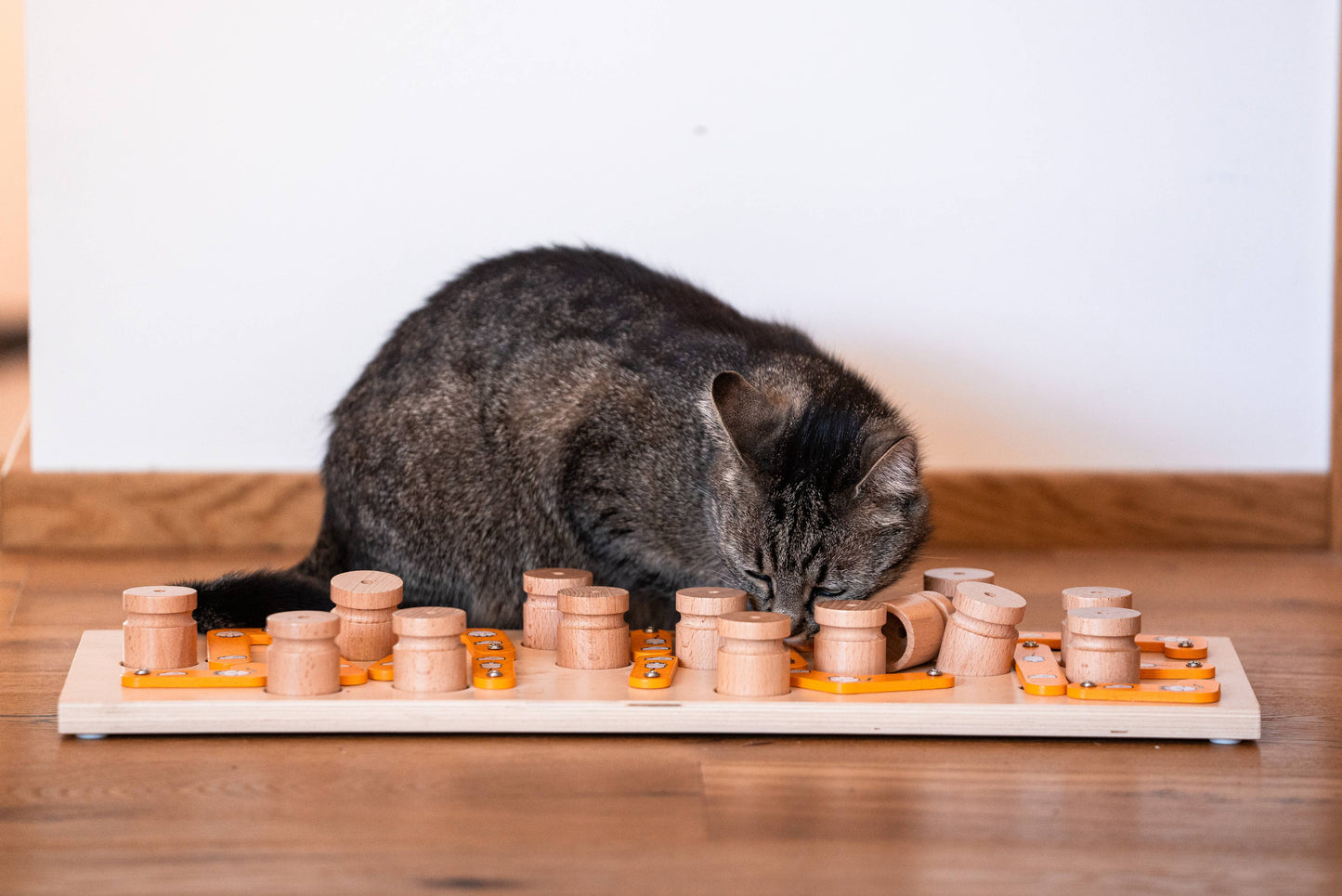 MICE - intelligent cat and dog puzzle toy