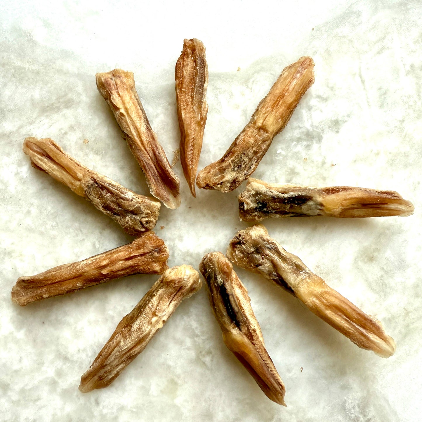 Duck Tongues - Freeze-Dried Treats for Dogs & Cats