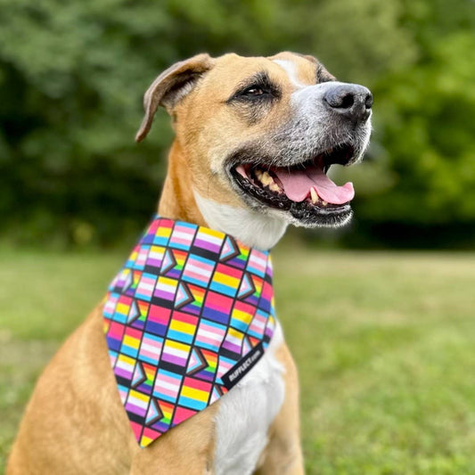 Pride Flags RUFFLECT® Dog Bandana