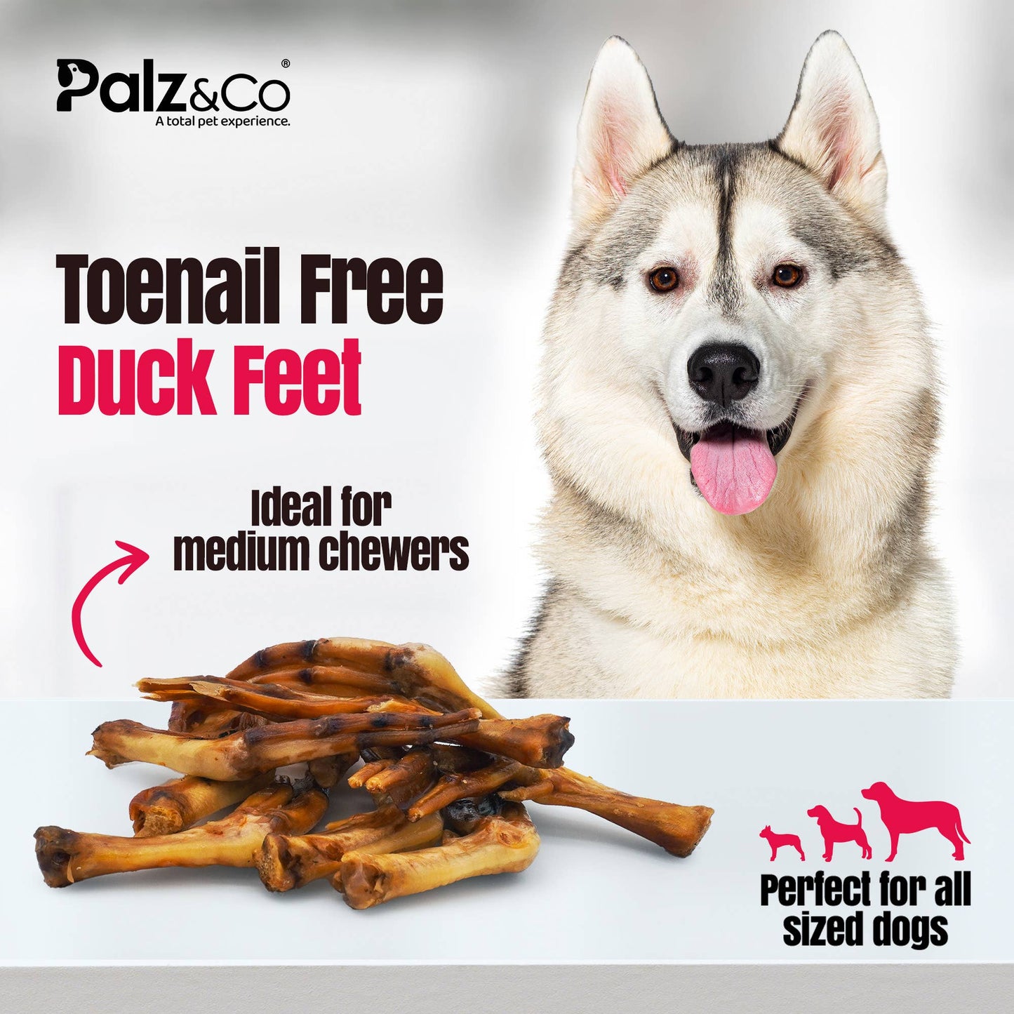 Birddog Duck Feet (no nails)