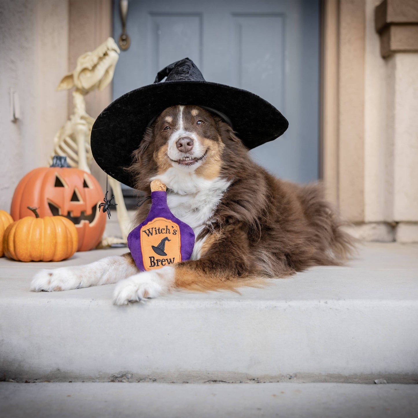 Witch's Brew Dog Toy