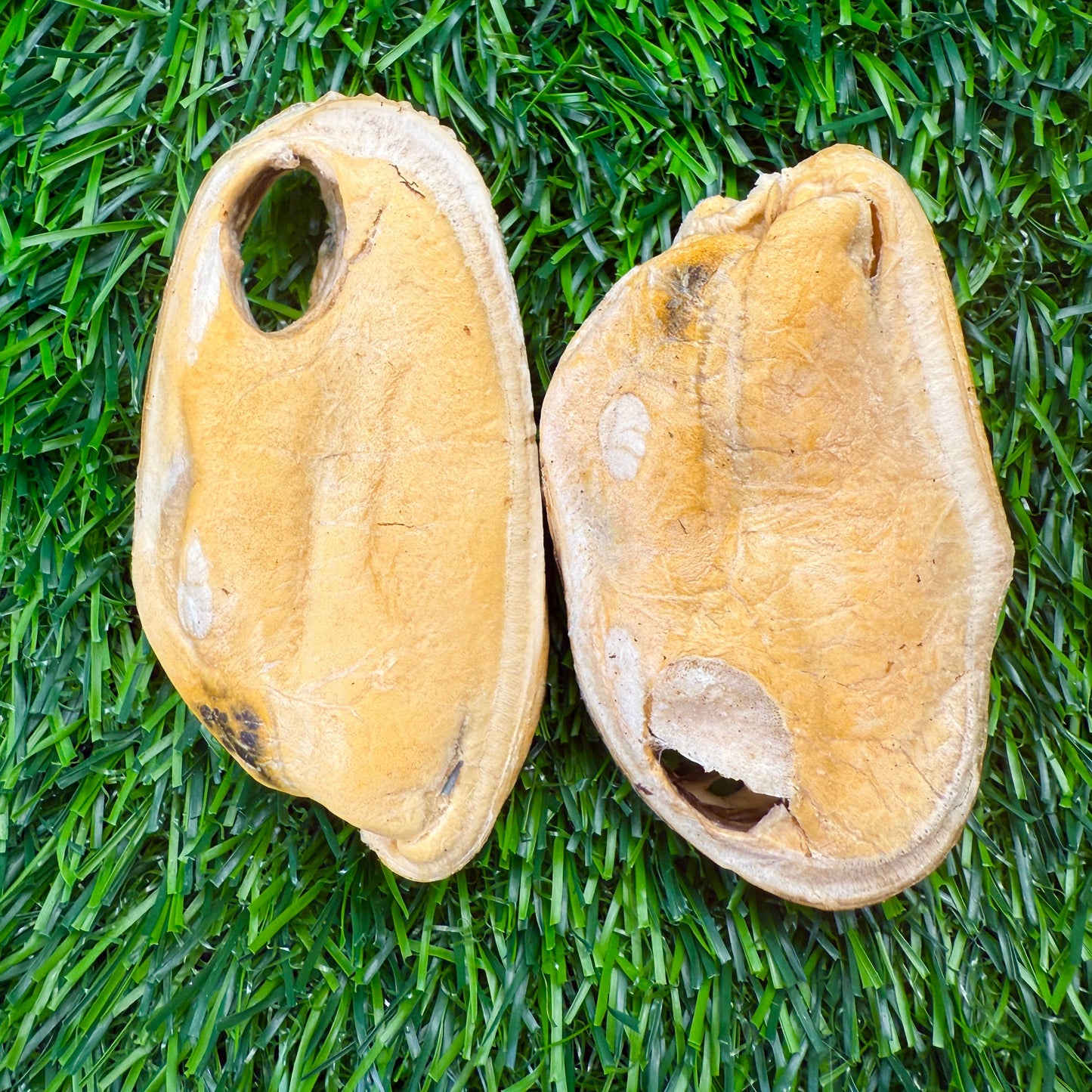 New Zealand Green-Lipped Mussel - Freeze-Dried