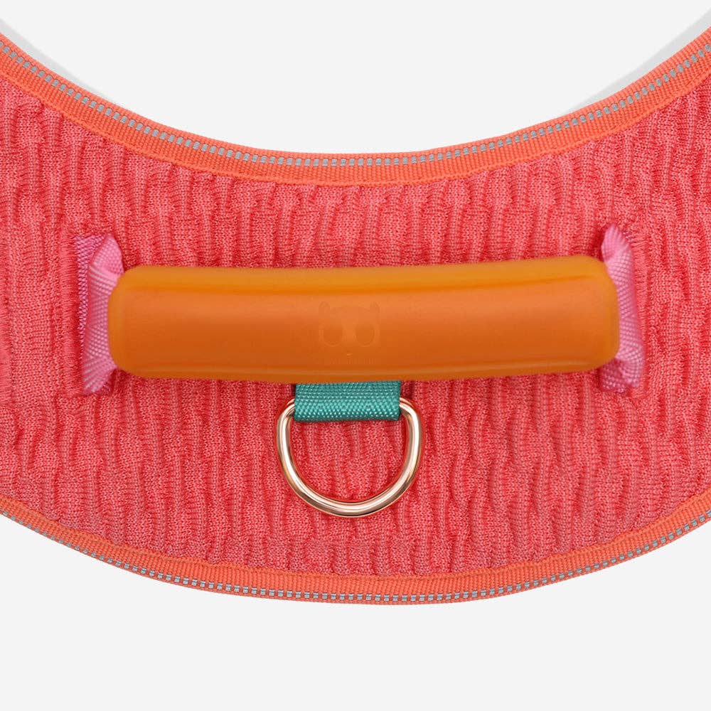 Gazelle | FlyHarness
