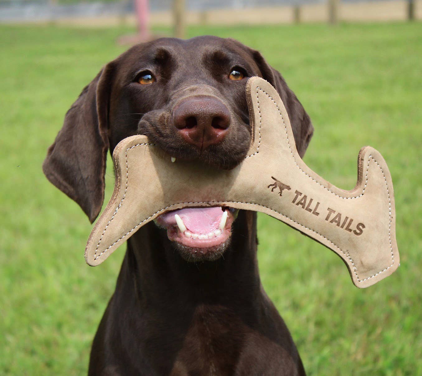 Tall Tails Natural Leather Antler Dog Toy - 11"