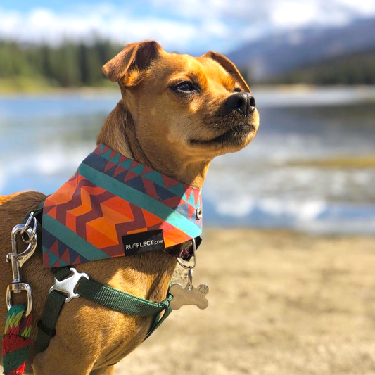 Navajo RUFFLECT® Dog Bandana